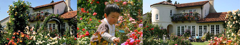 garden.jpg