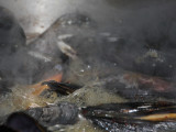 Steaming Muscles Renee's Journey Cooking in Santiago, Chile